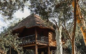 Ubizane Zululand Tree Lodge
